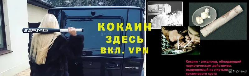 блэк спрут ссылки  закладка  Кувшиново  COCAIN Эквадор 