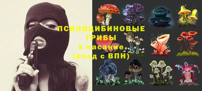 Галлюциногенные грибы Magic Shrooms  Кувшиново 